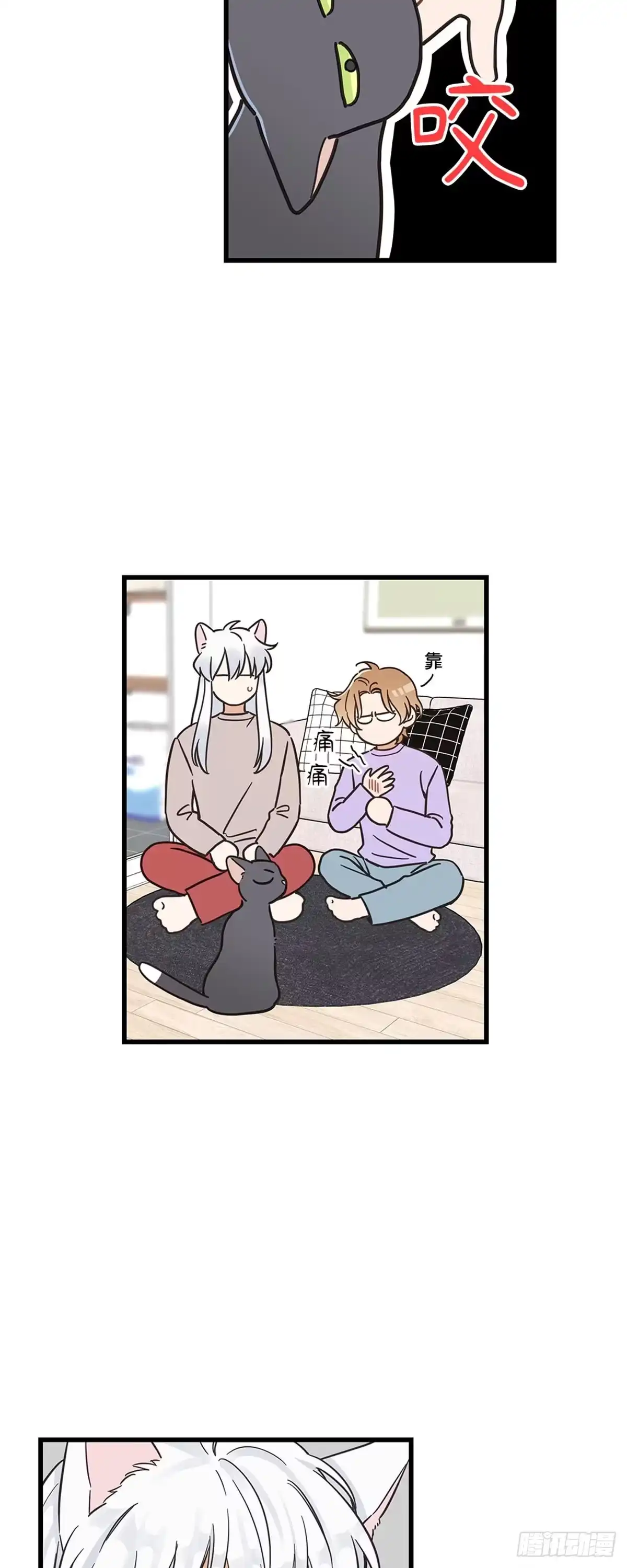 我独一无二的猫咪 第41话 第9页