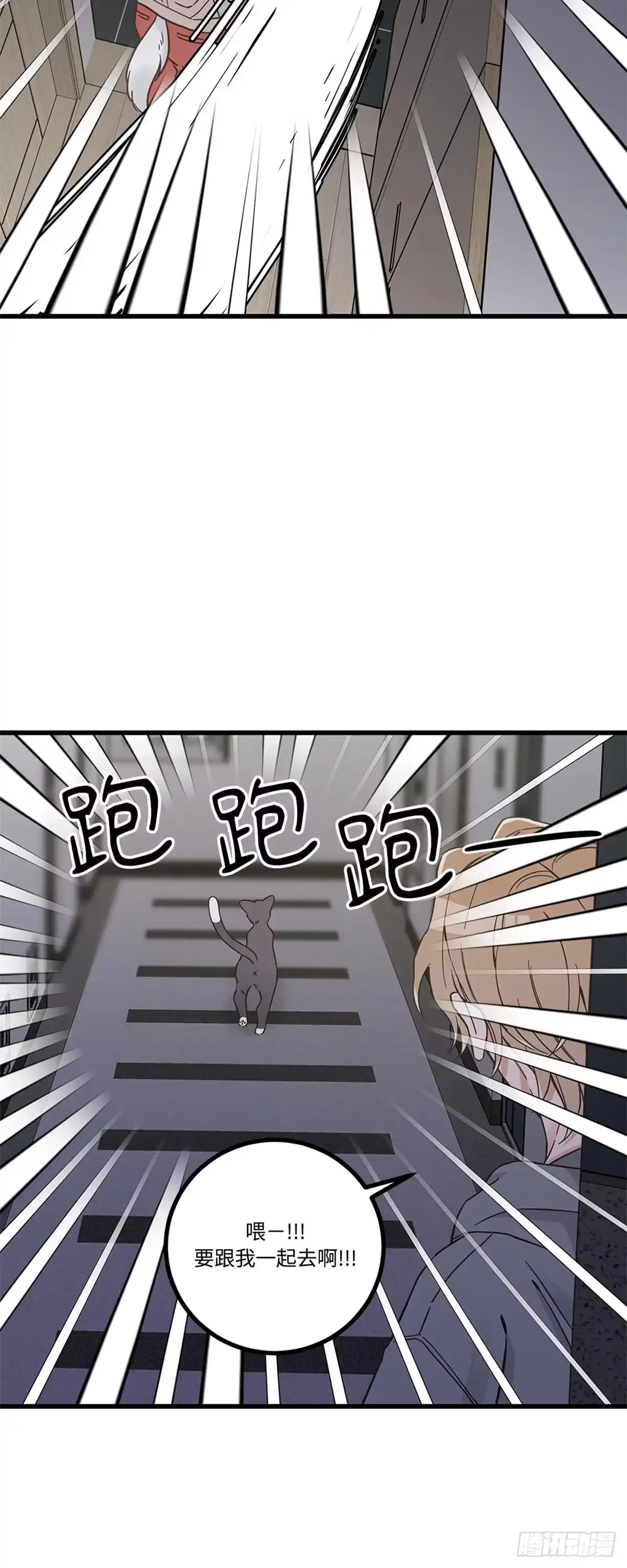 我独一无二的猫咪 第41话 第25页