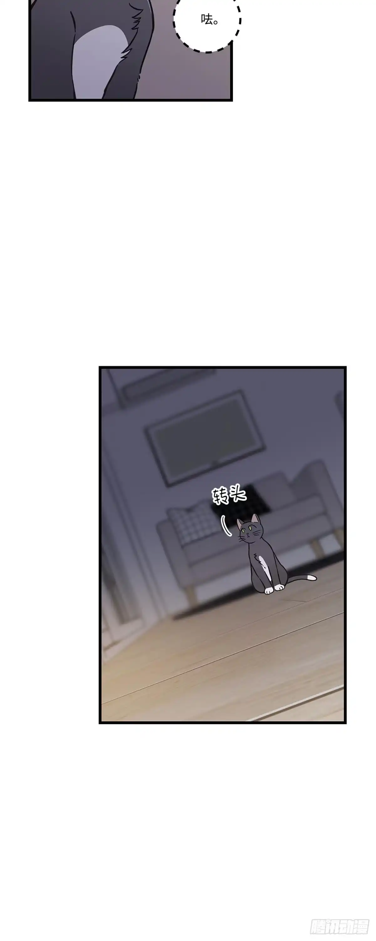 我独一无二的猫咪 第41话 第13页