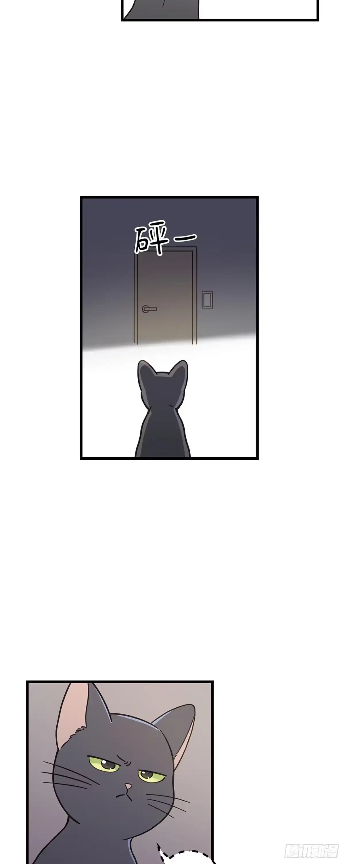 我独一无二的猫咪 第41话 第12页