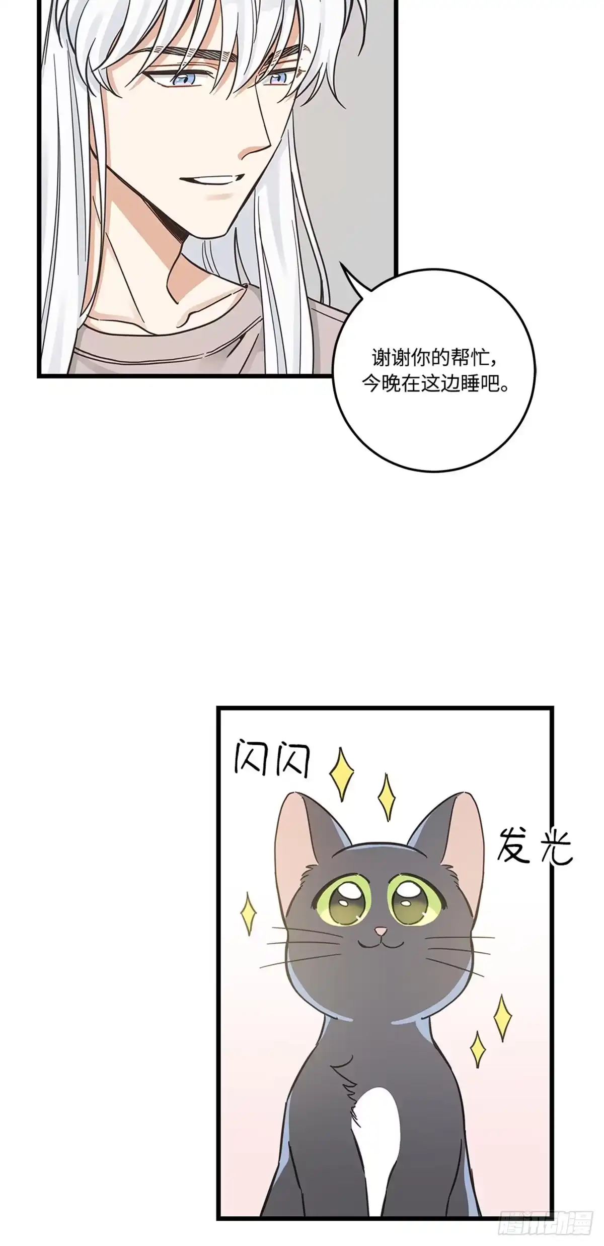 我独一无二的猫咪 第41话 第10页