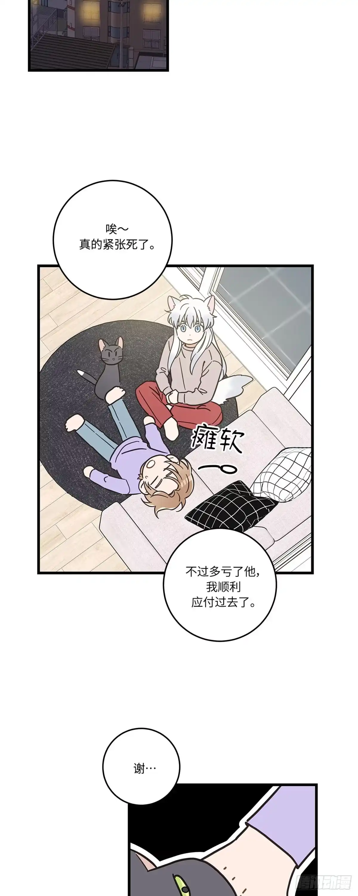 我独一无二的猫咪 第41话 第8页