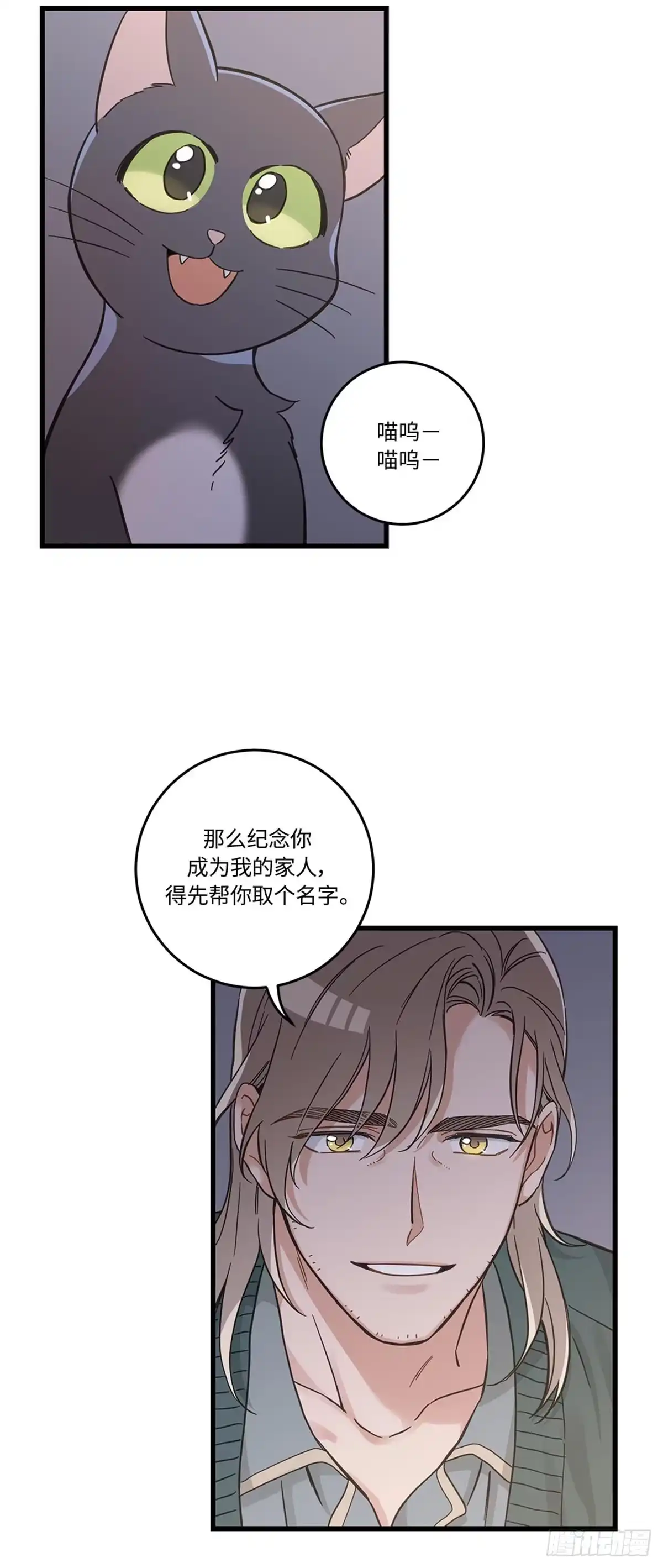 我独一无二的猫咪 第41话 第40页
