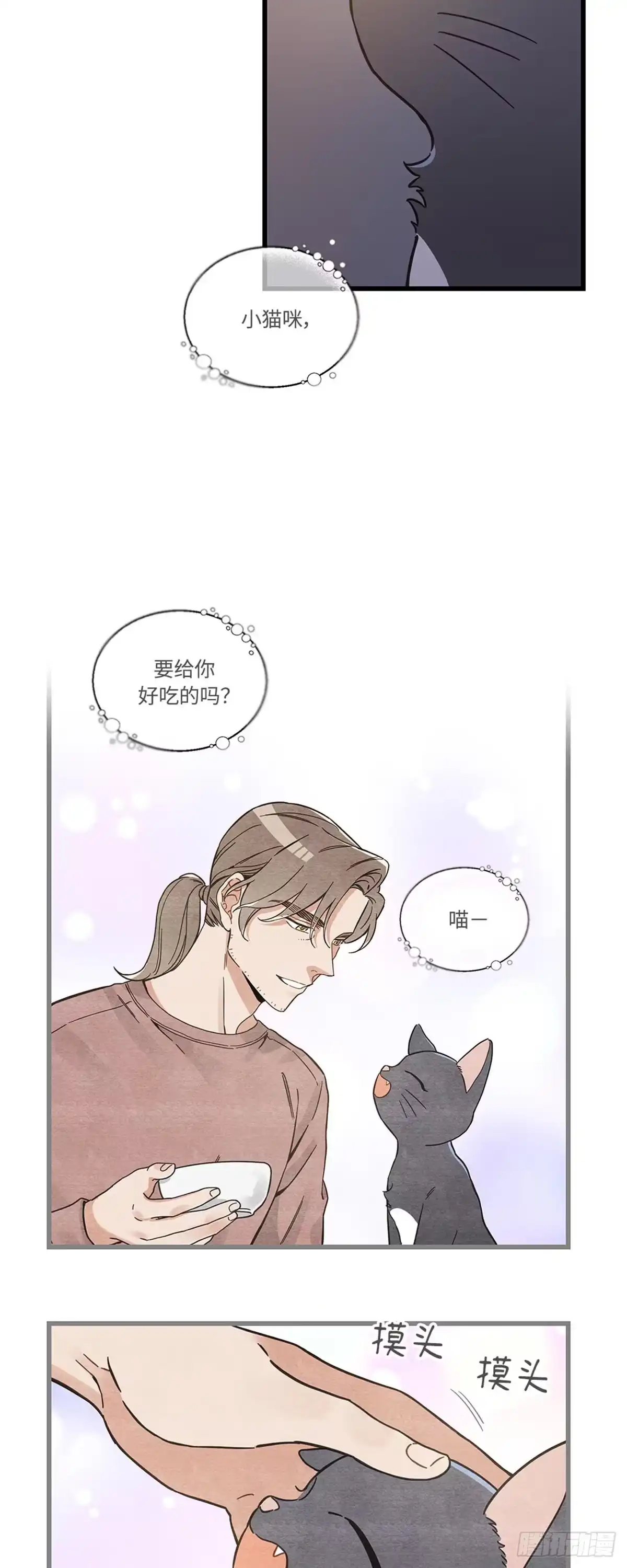我独一无二的猫咪 第41话 第15页