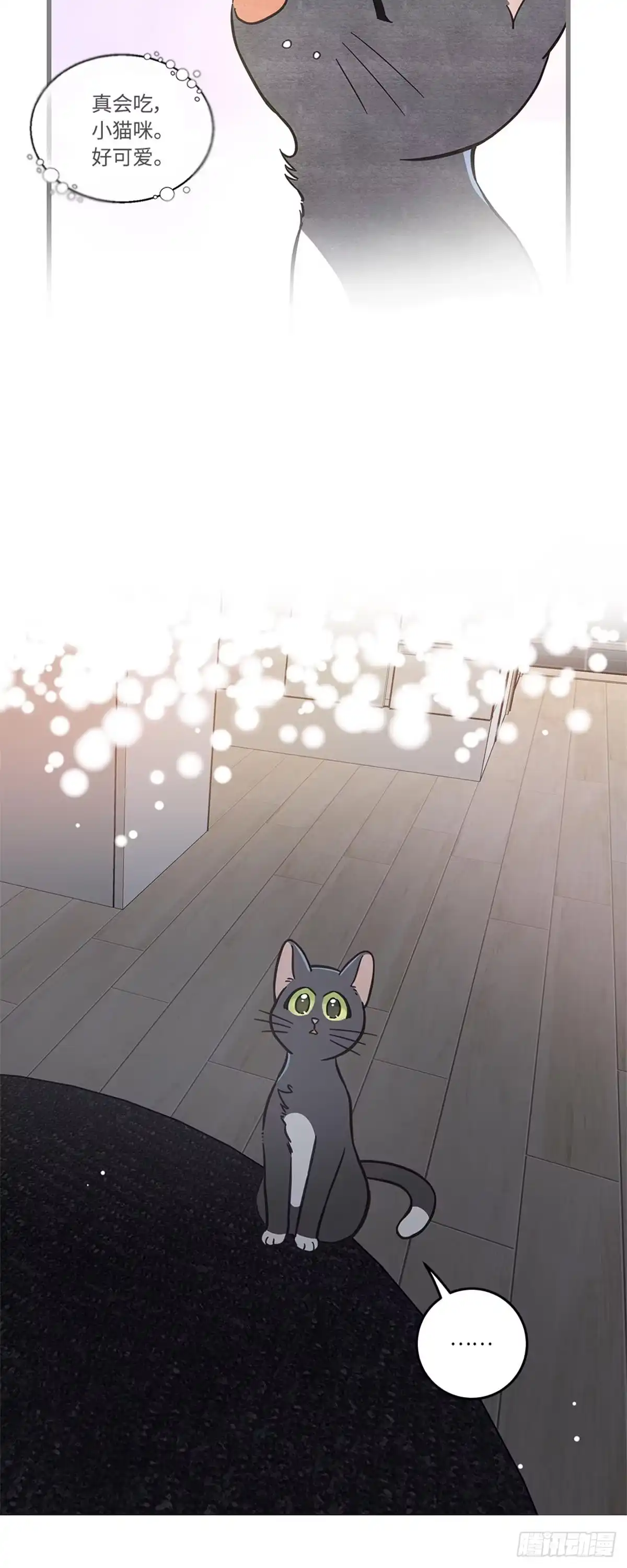 我独一无二的猫咪 第41话 第16页