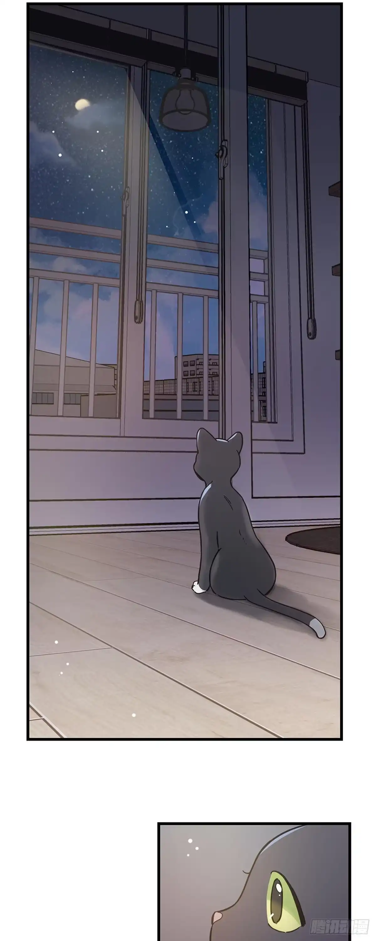 我独一无二的猫咪 第41话 第14页