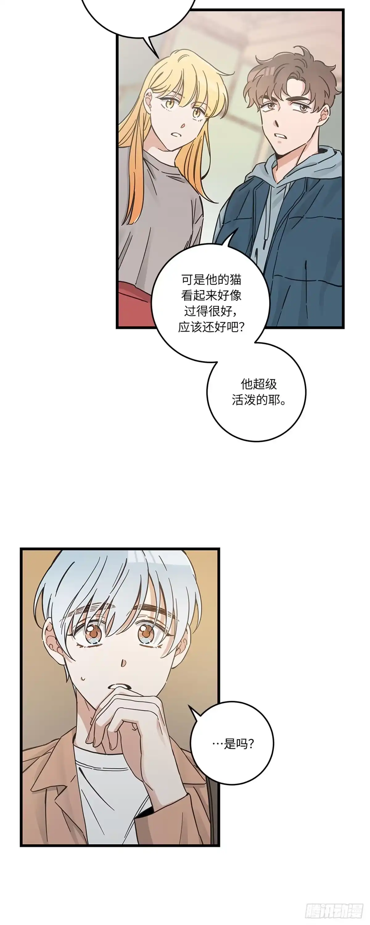我独一无二的猫咪 第41话 第3页