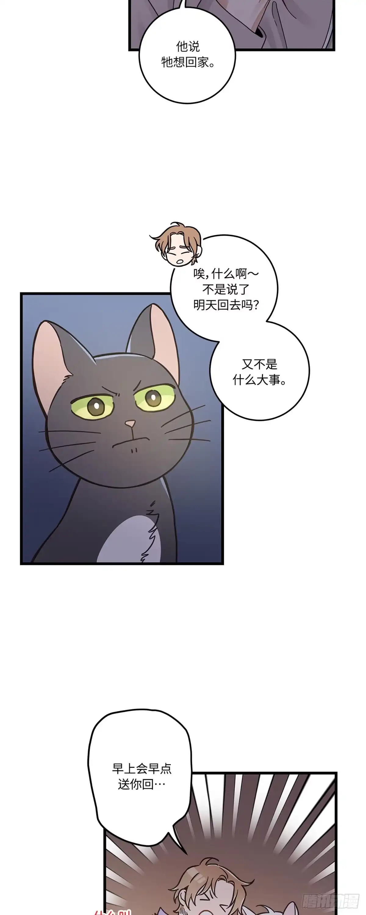 我独一无二的猫咪 第41话 第19页