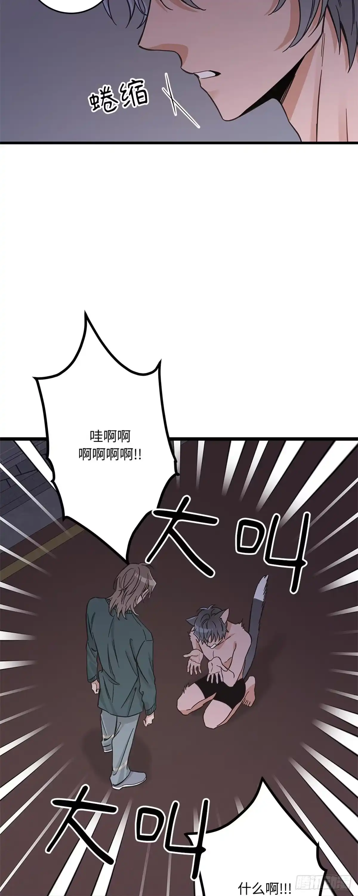 我独一无二的猫咪 第42话 第9页