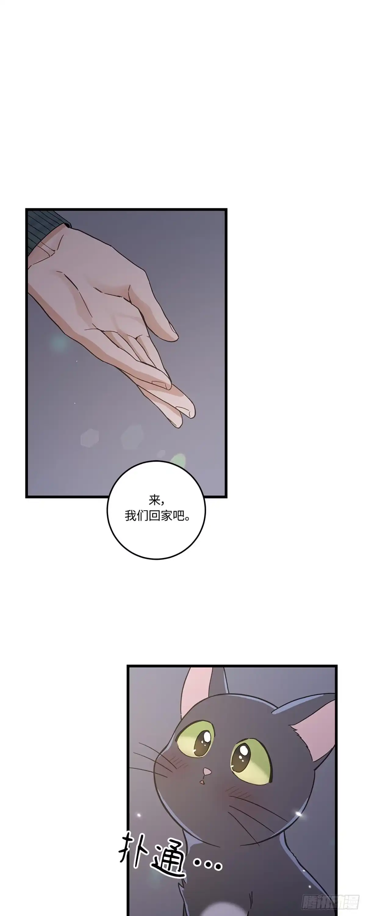 我独一无二的猫咪 第42话 第1页