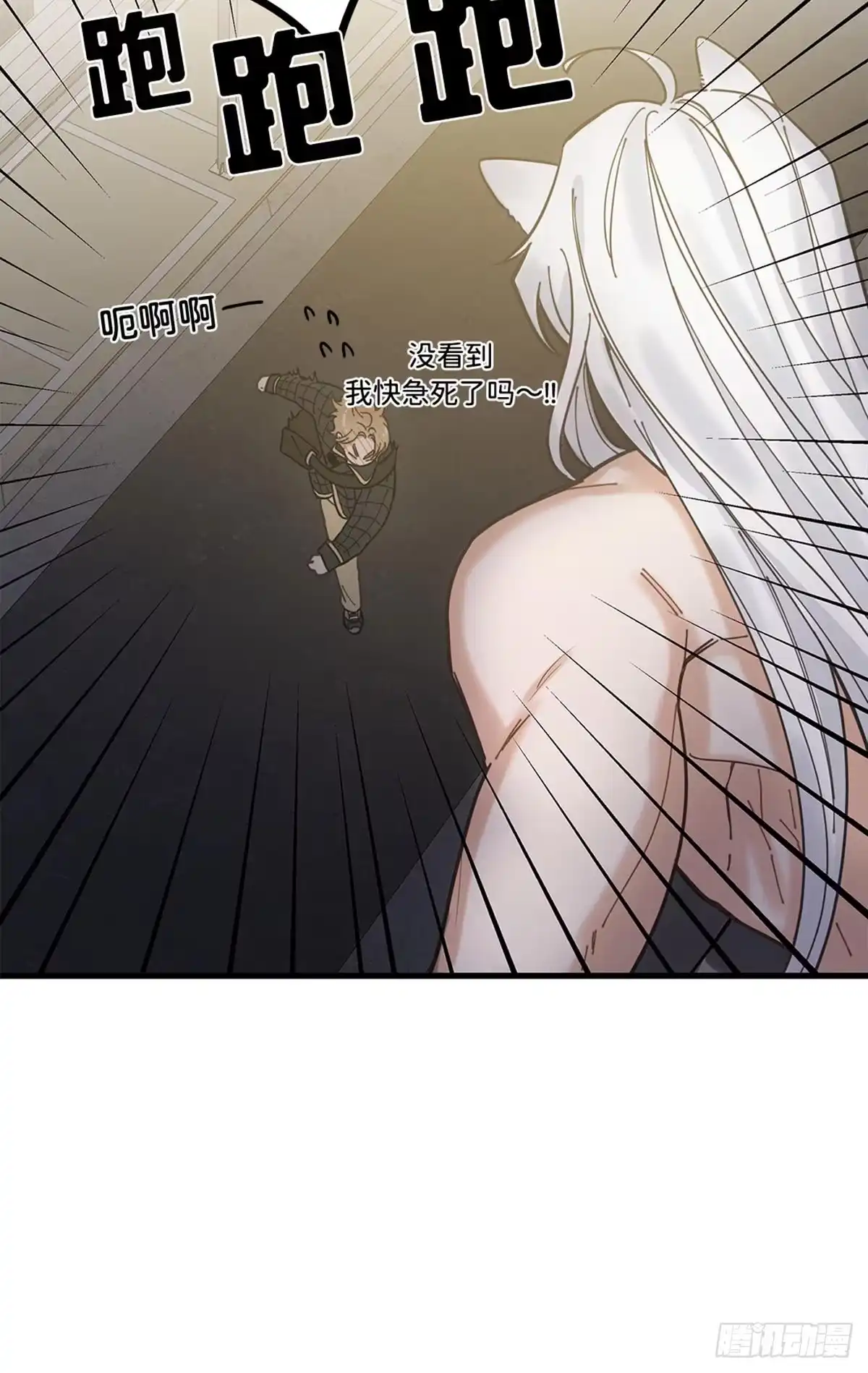 我独一无二的猫咪 第5话 第14页