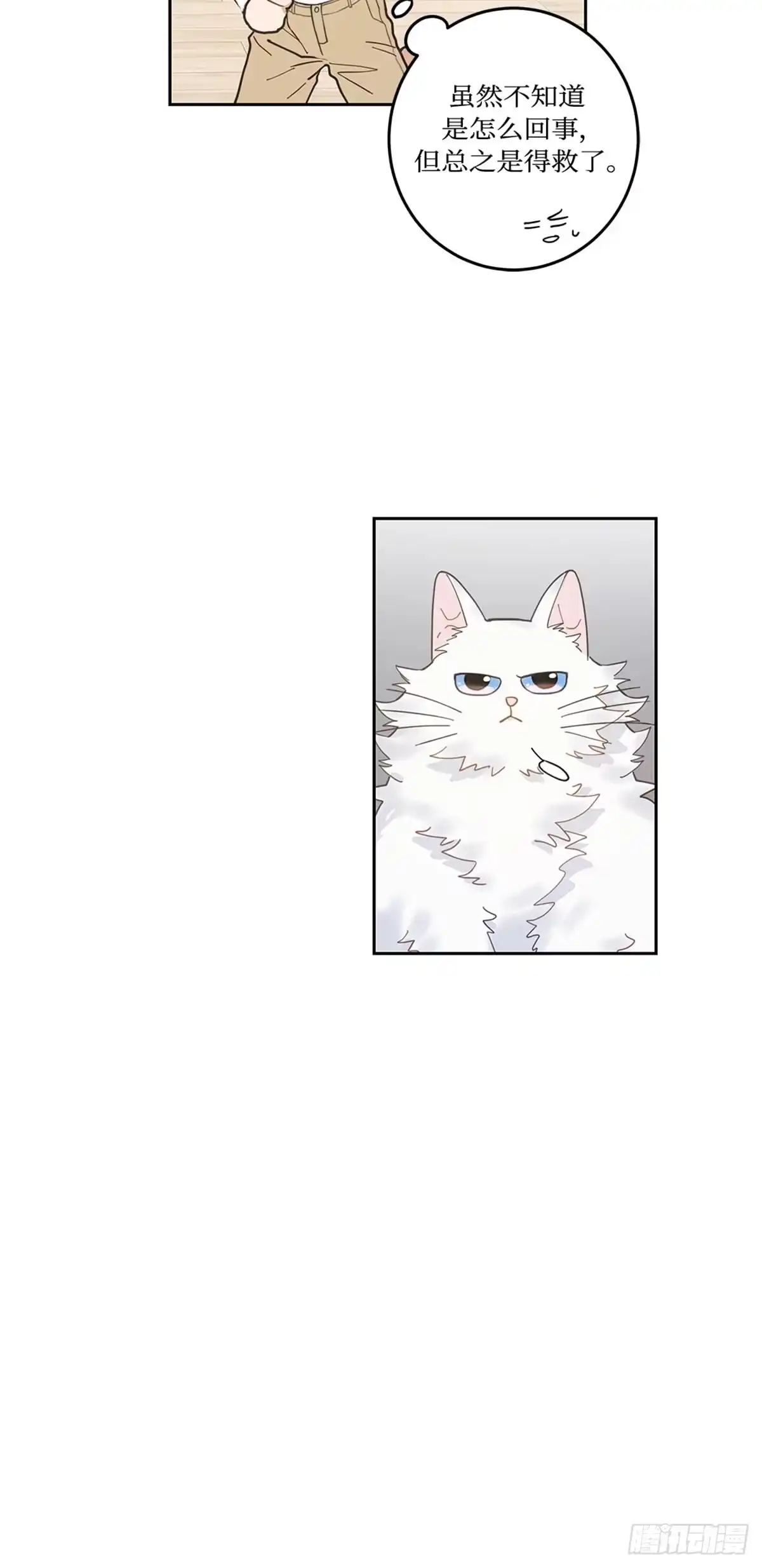 我独一无二的猫咪 第5话 第45页