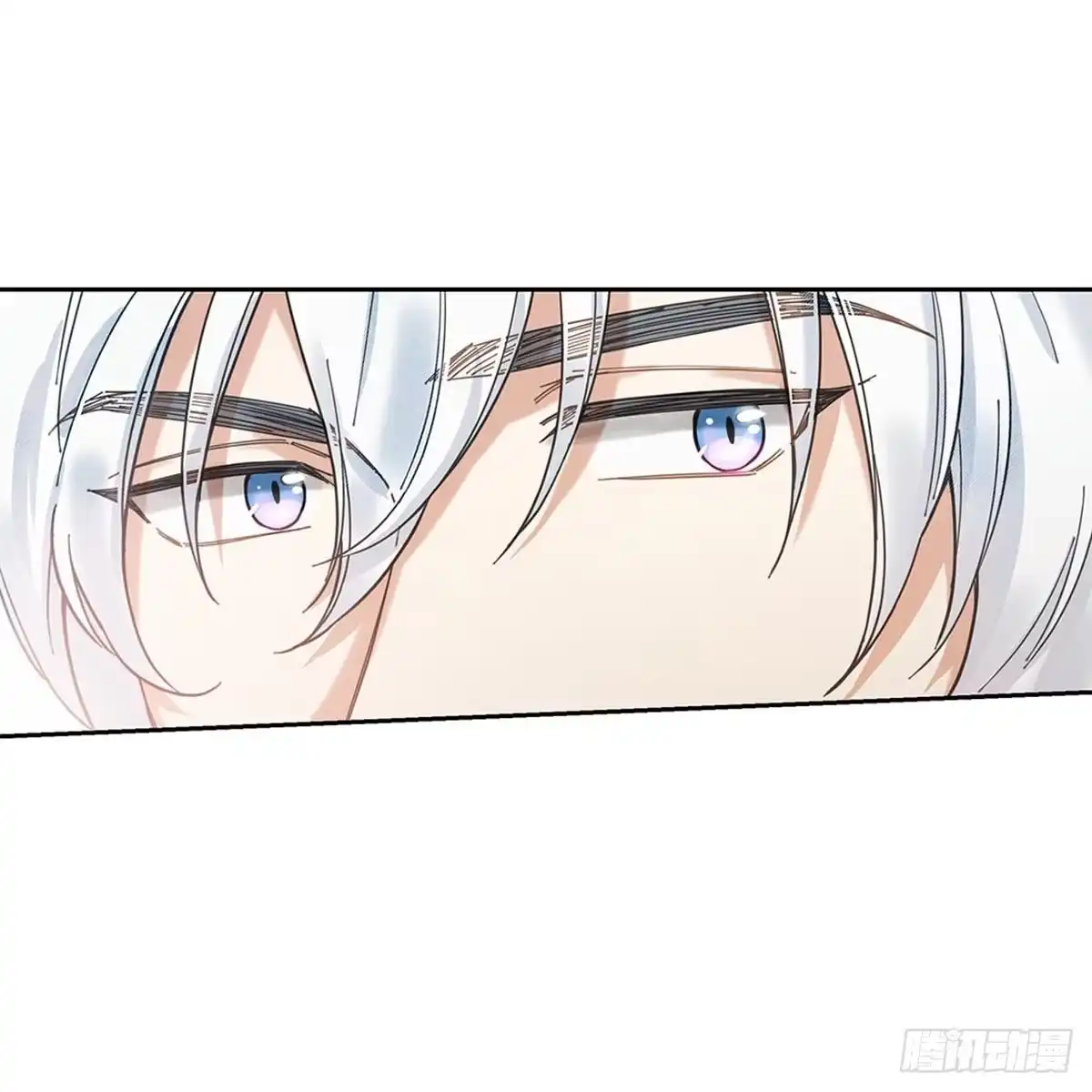 我独一无二的猫咪 第5话 第28页