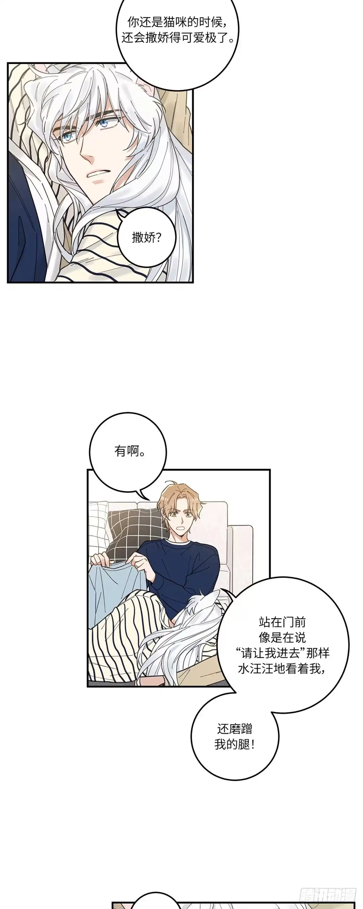 我独一无二的猫咪 第6话 第10页