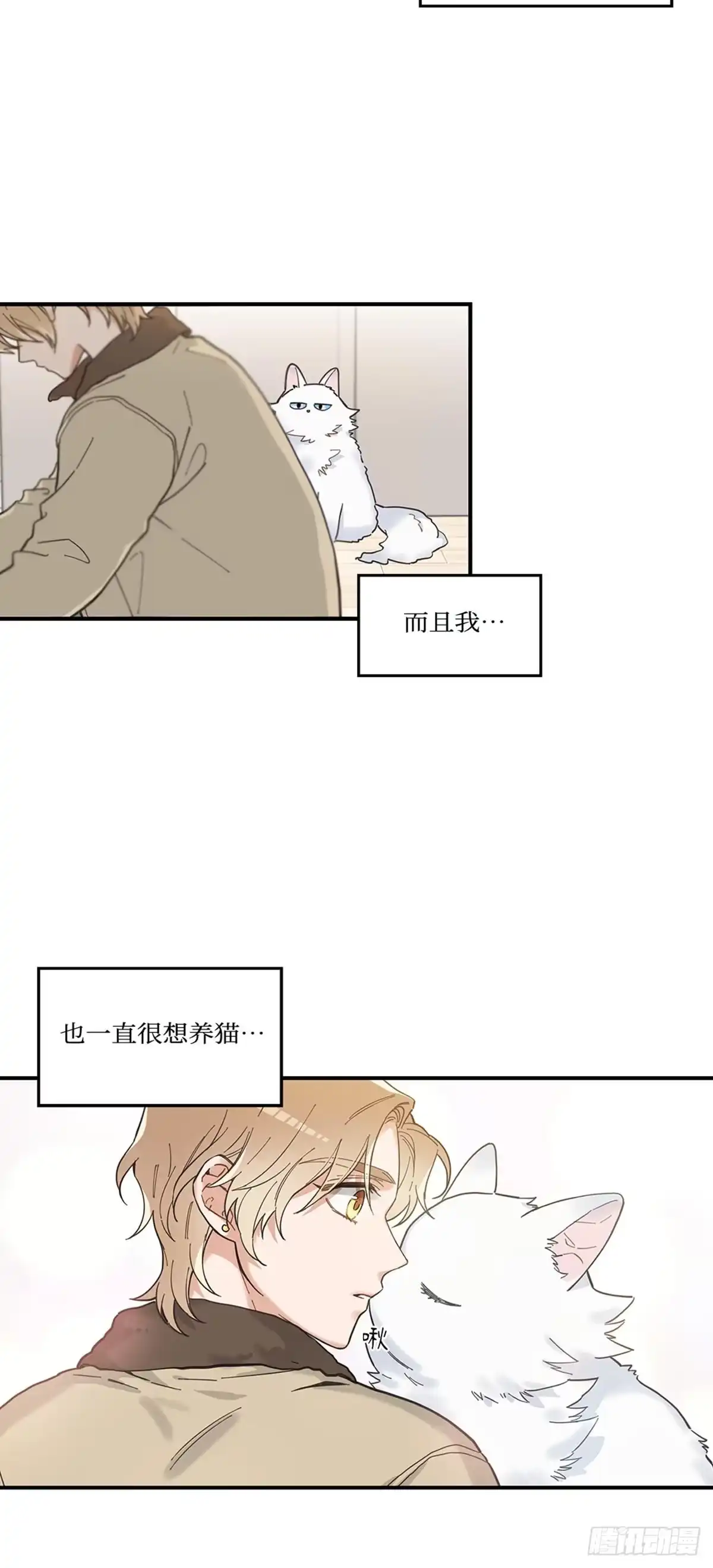我独一无二的猫咪 第6话 第29页