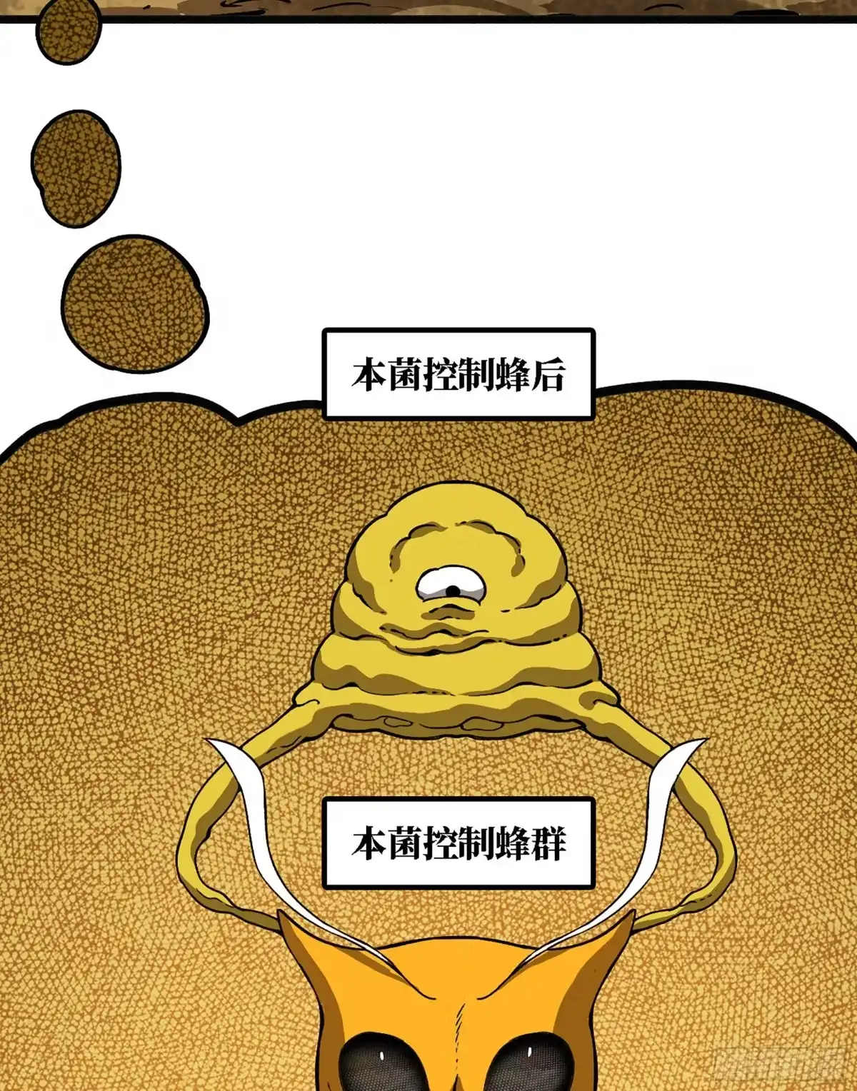 我独自黏菌 26 团队测试 第63页