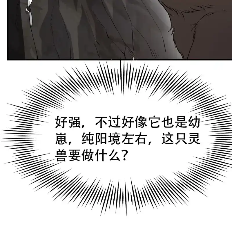 我儿快拼爹 第27话 第二十五话：灵兽现身！ 第40页