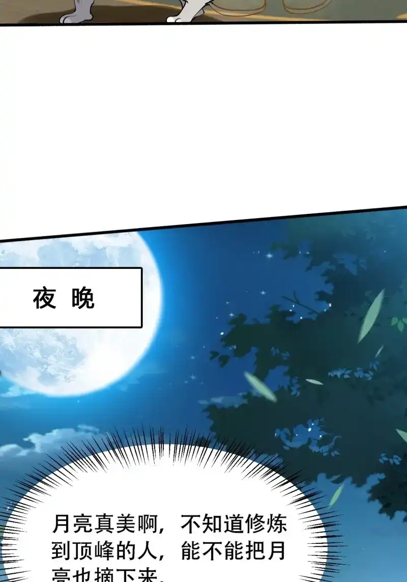 我儿快拼爹 第30话 第二十八话：猫咪与机缘 第14页