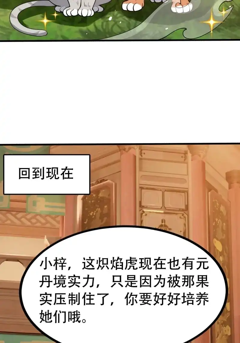 我儿快拼爹 第30话 第二十八话：猫咪与机缘 第11页