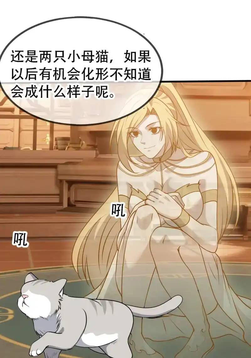 我儿快拼爹 第30话 第二十八话：猫咪与机缘 第13页