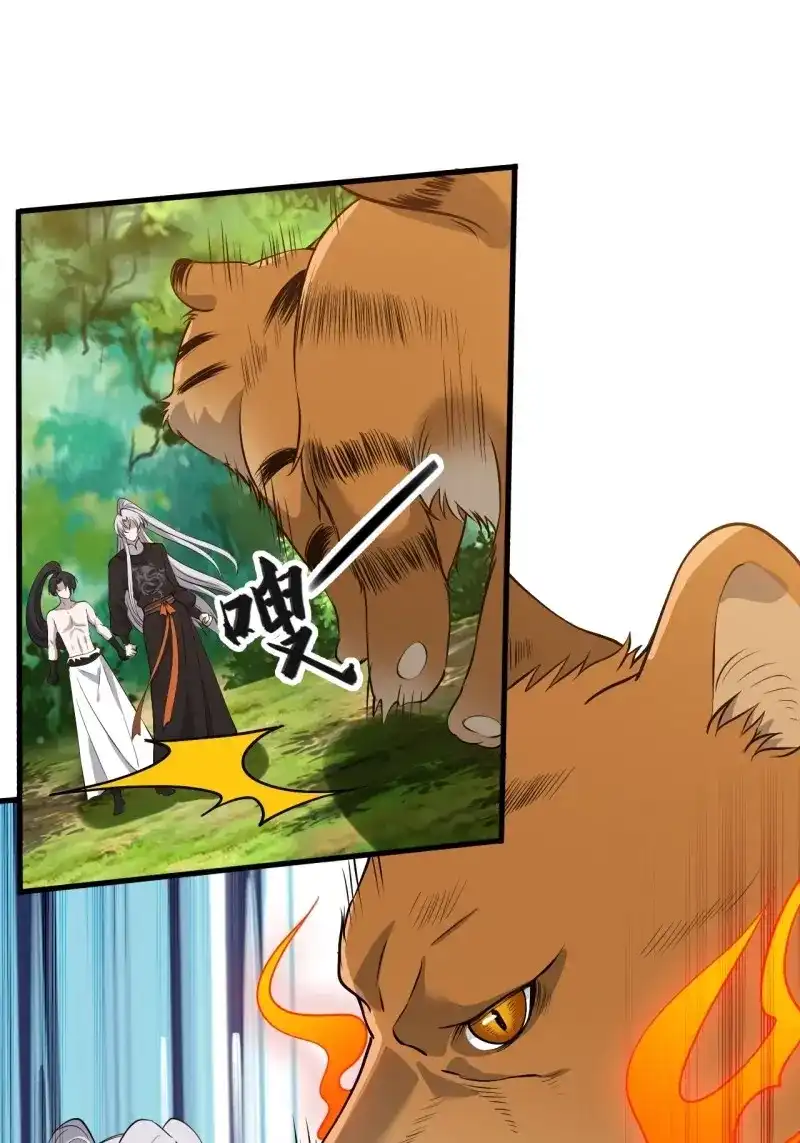 我儿快拼爹 第30话 第二十八话：猫咪与机缘 第4页