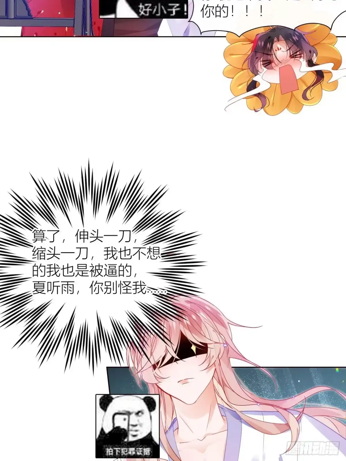 《我非等闲之辈》邀君一同赏夏菊！ 第4页