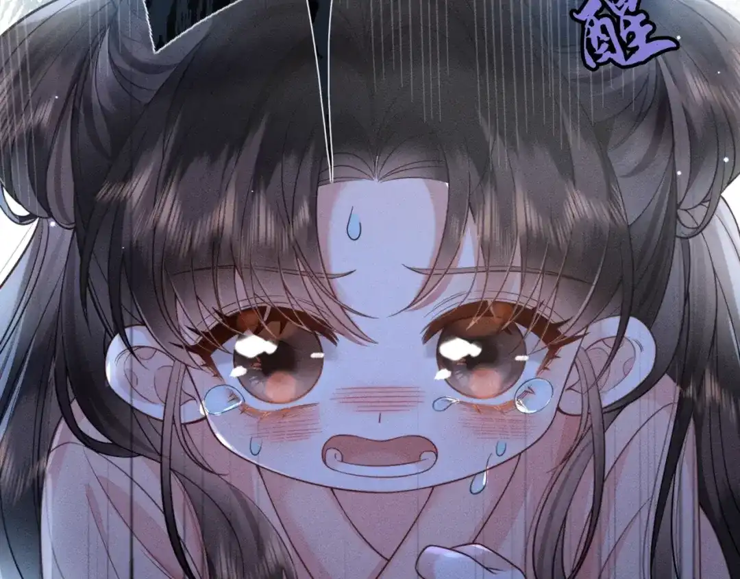 《我家家主八岁啦》1 抄家夜觉醒 第14页