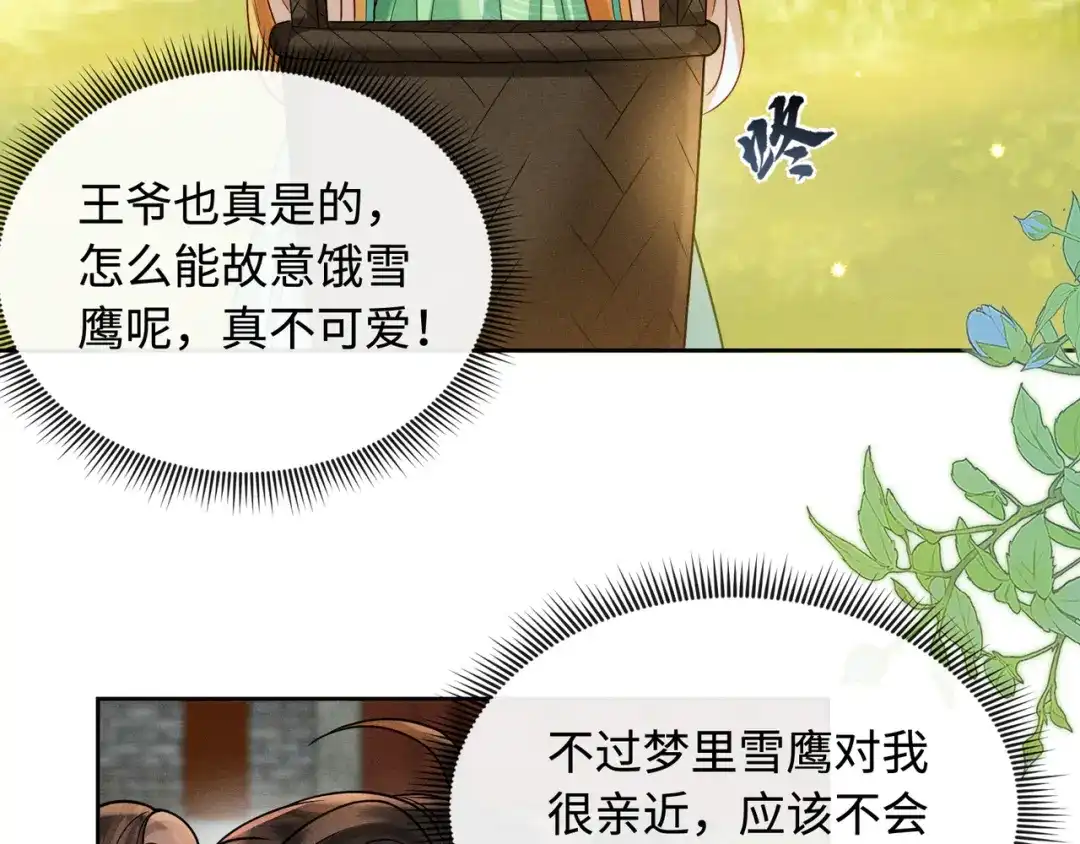 《我家家主八岁啦》13 雪鹰别吃我呀！ 第19页