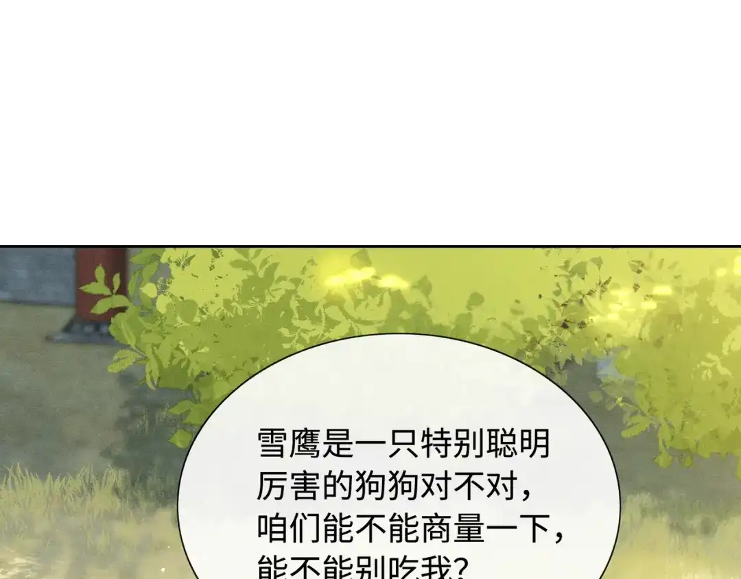 《我家家主八岁啦》13 雪鹰别吃我呀！ 第21页