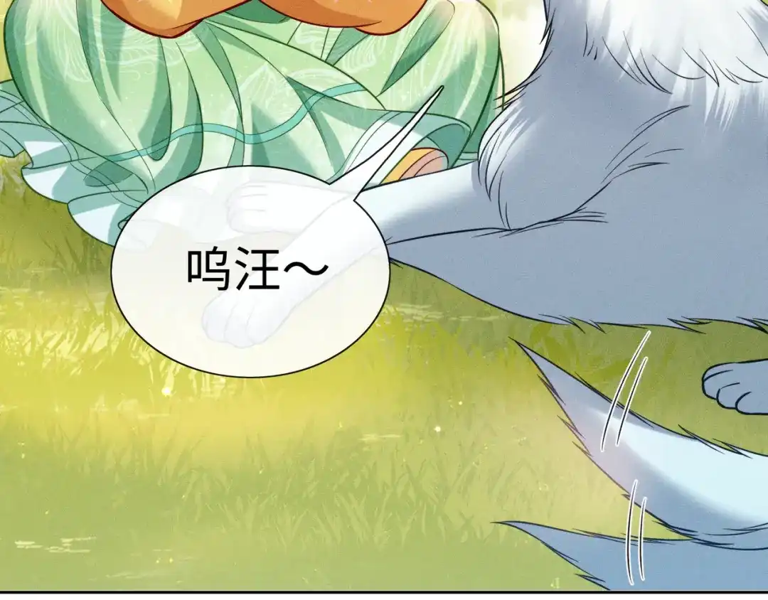《我家家主八岁啦》13 雪鹰别吃我呀！ 第40页