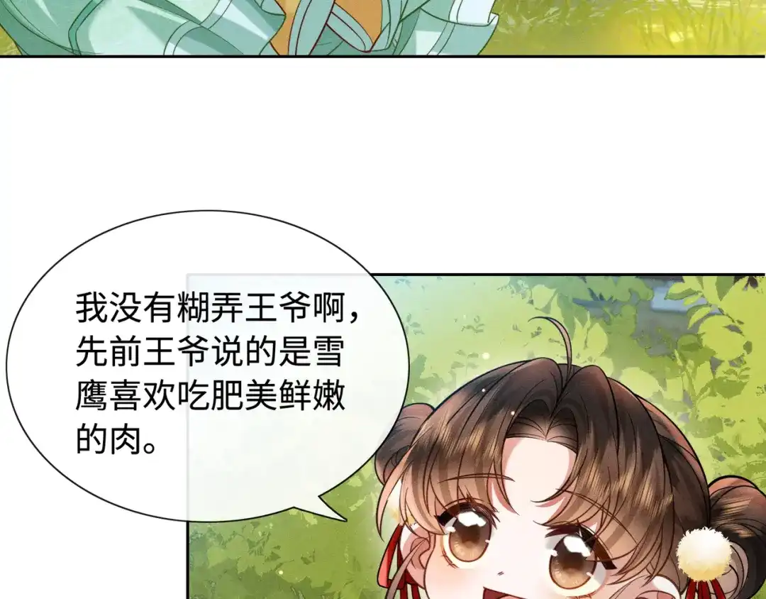 《我家家主八岁啦》13 雪鹰别吃我呀！ 第53页