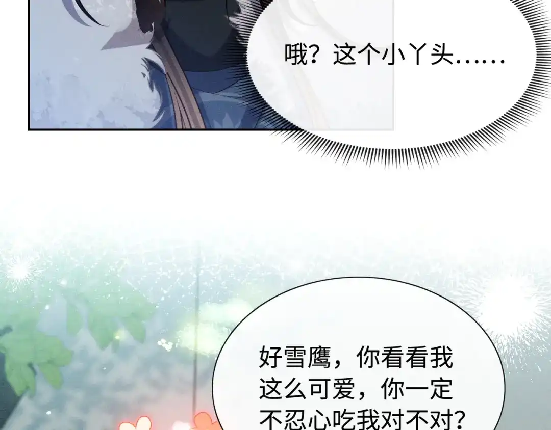 《我家家主八岁啦》13 雪鹰别吃我呀！ 第38页