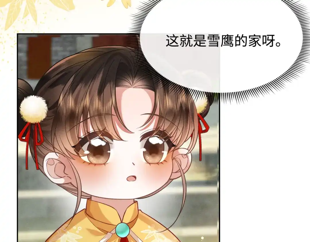《我家家主八岁啦》13 雪鹰别吃我呀！ 第11页