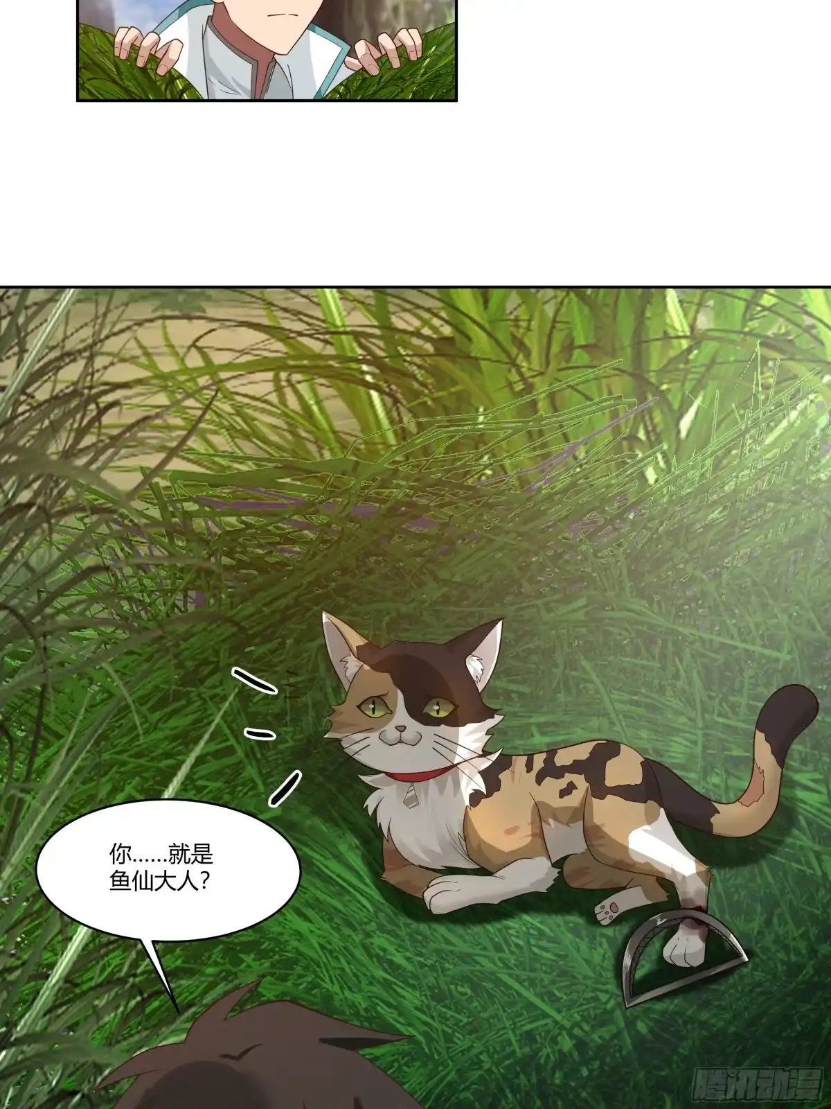《我将埋葬众神》小语与三花猫 第17页
