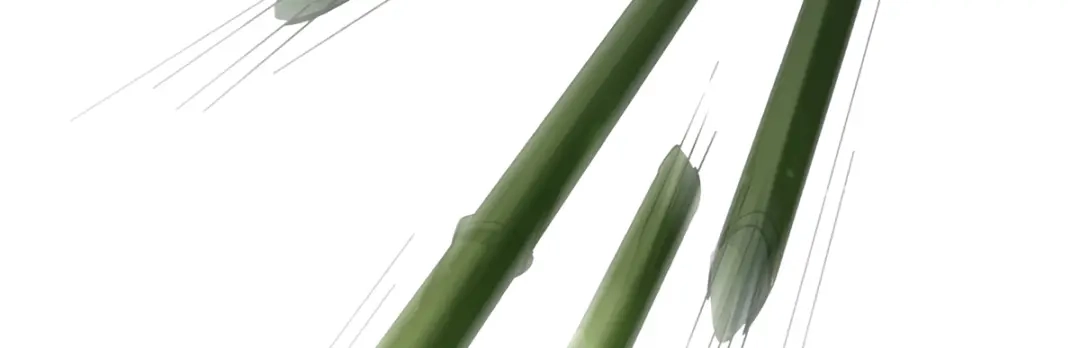 《我狂暴升级》第31话 系统转圈圈  第45页