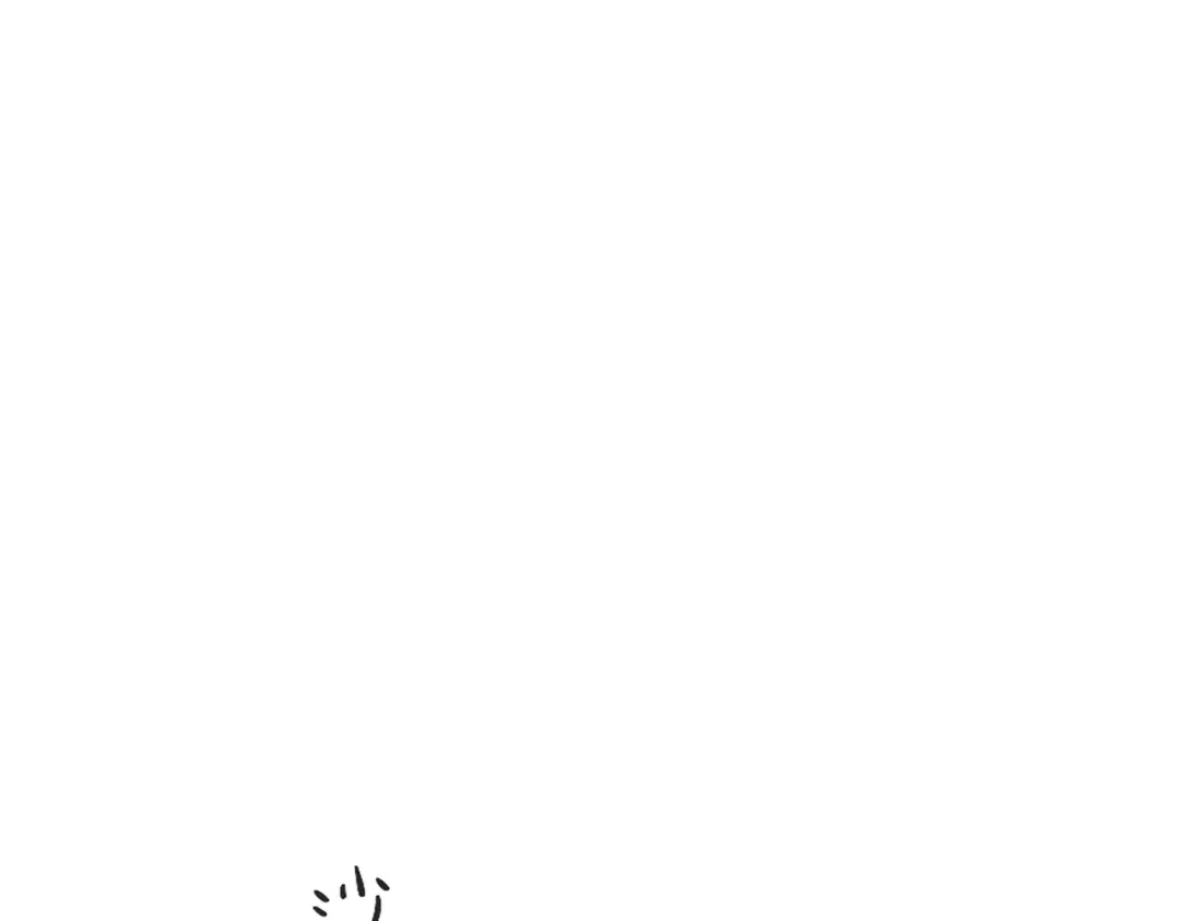 79.jpg