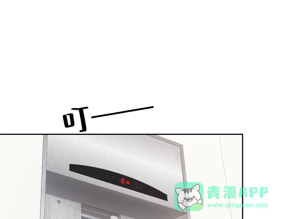 81.jpg