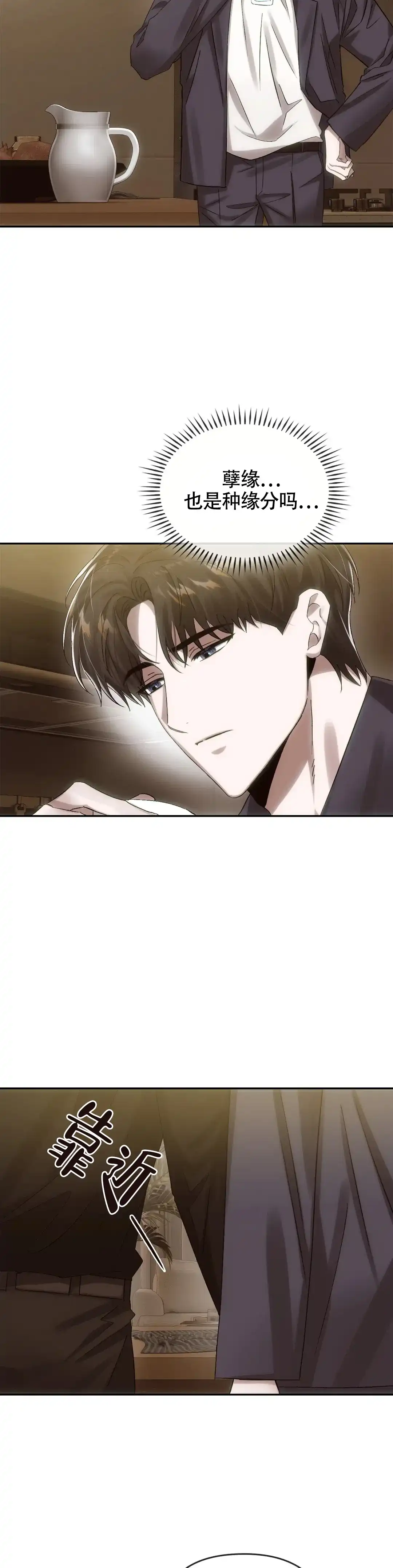 《我们的转世》第13话 第13页