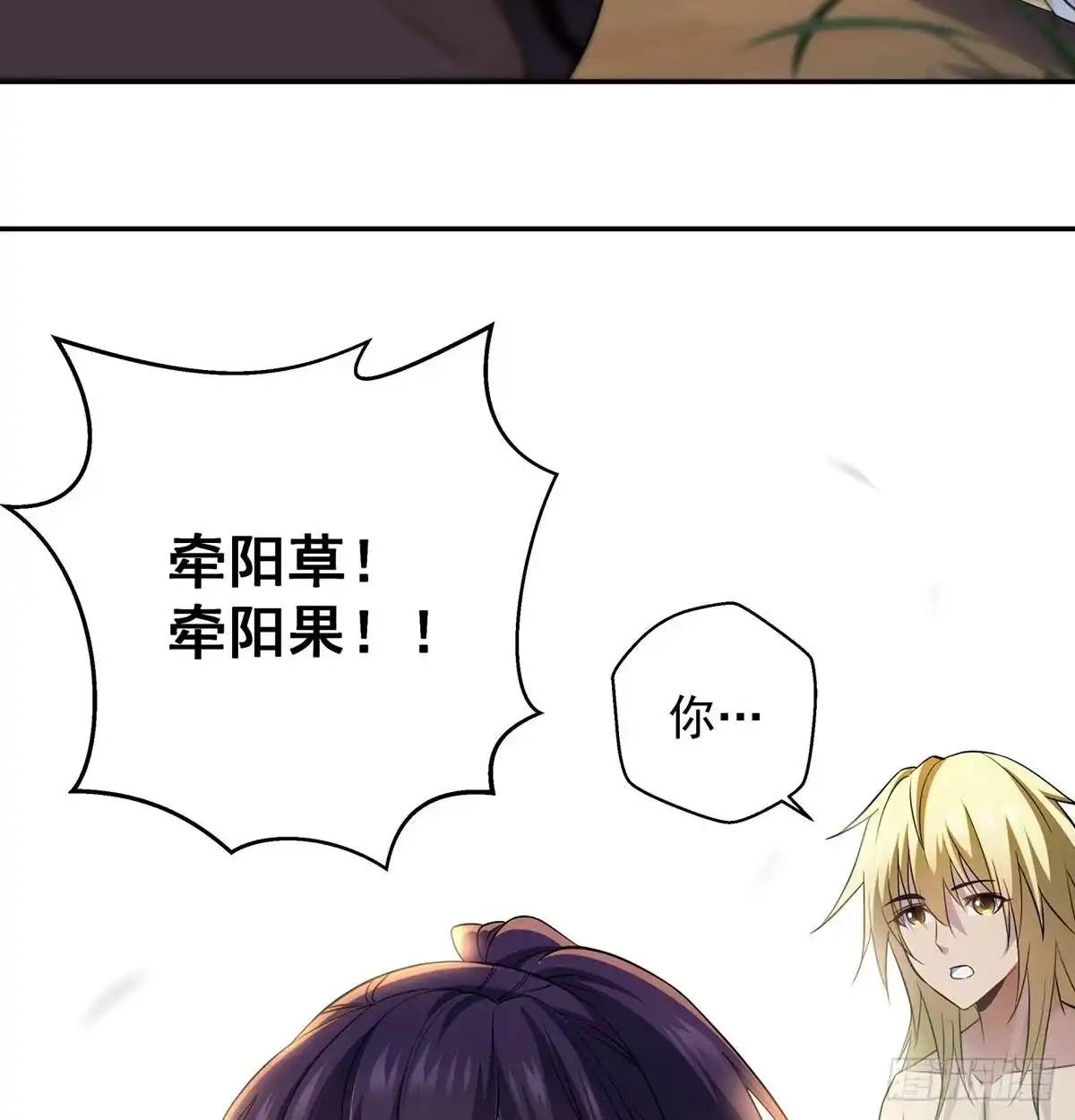 《我是大还丹（修真界最炙手可热）》炼还丹的少女 第23页