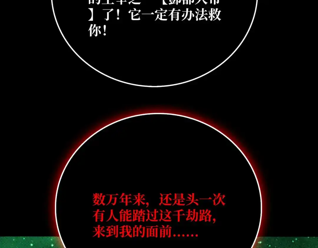 《我是幕后大佬》67 酆都大帝 第70页