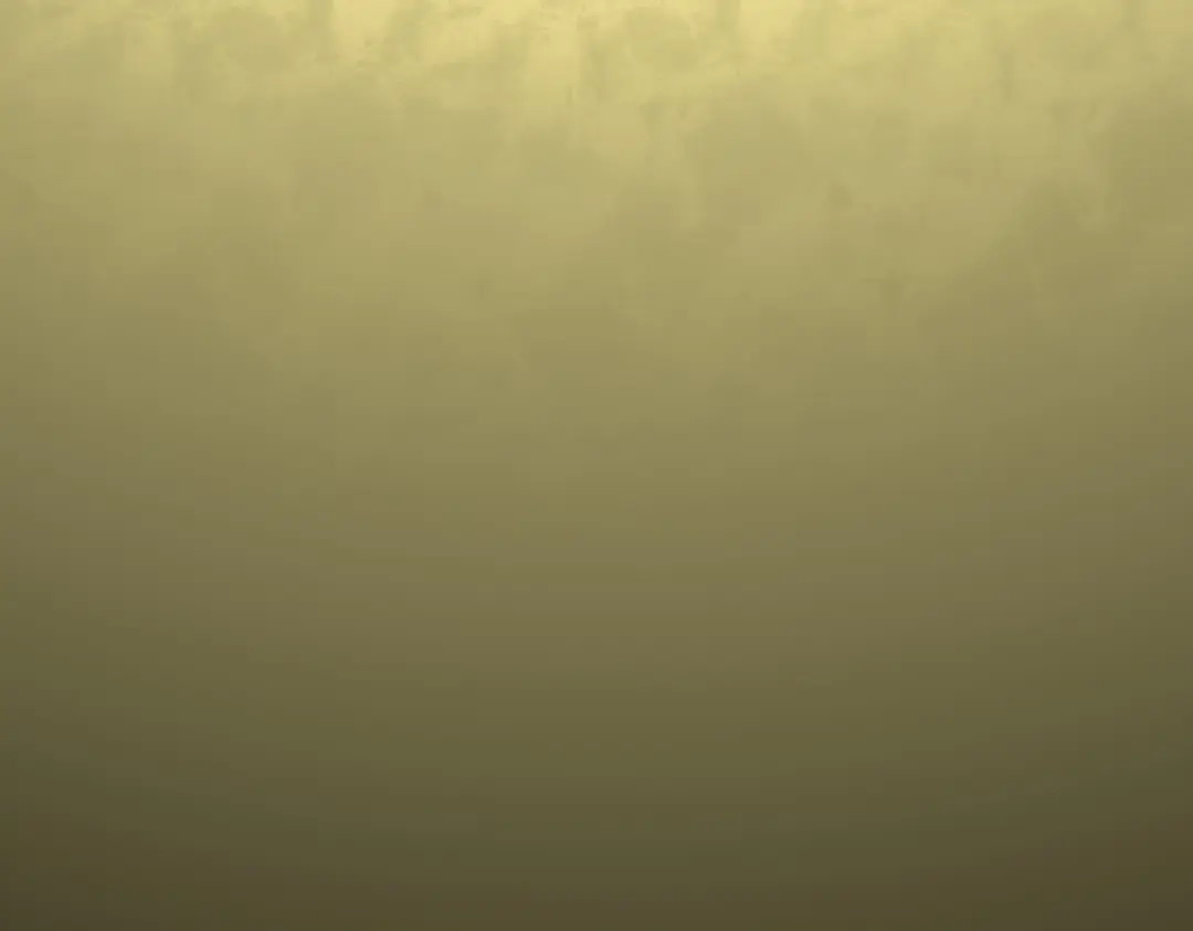 52.jpg
