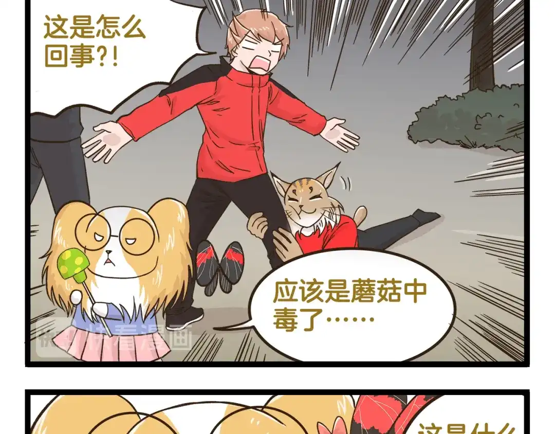 《我是学校唯一的人类》第143话 登山历险记 下篇 第13页