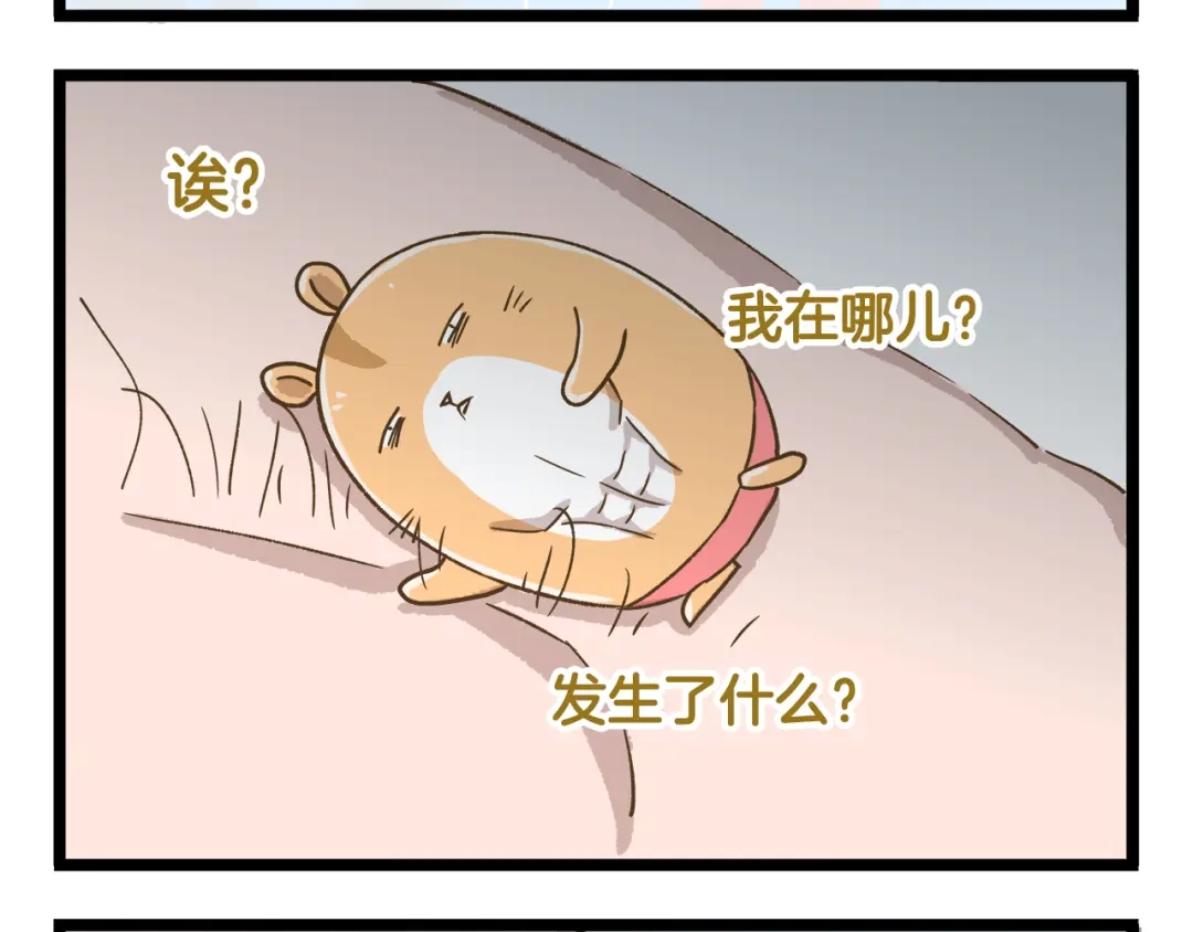《我是学校唯一的人类》第155话 布丁的腹肌 第8页