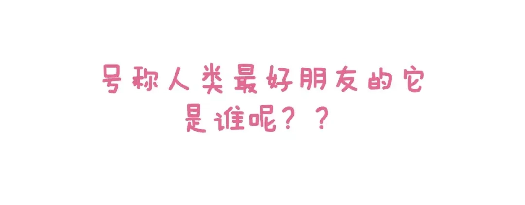 《我是学校唯一的人类》第2话 毛发管理 第18页