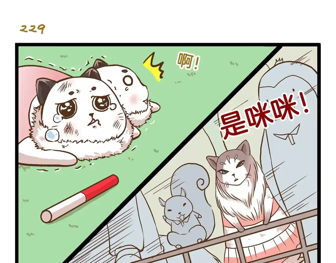 《我是学校唯一的人类》第33话 阴差阳错！？ 第19页