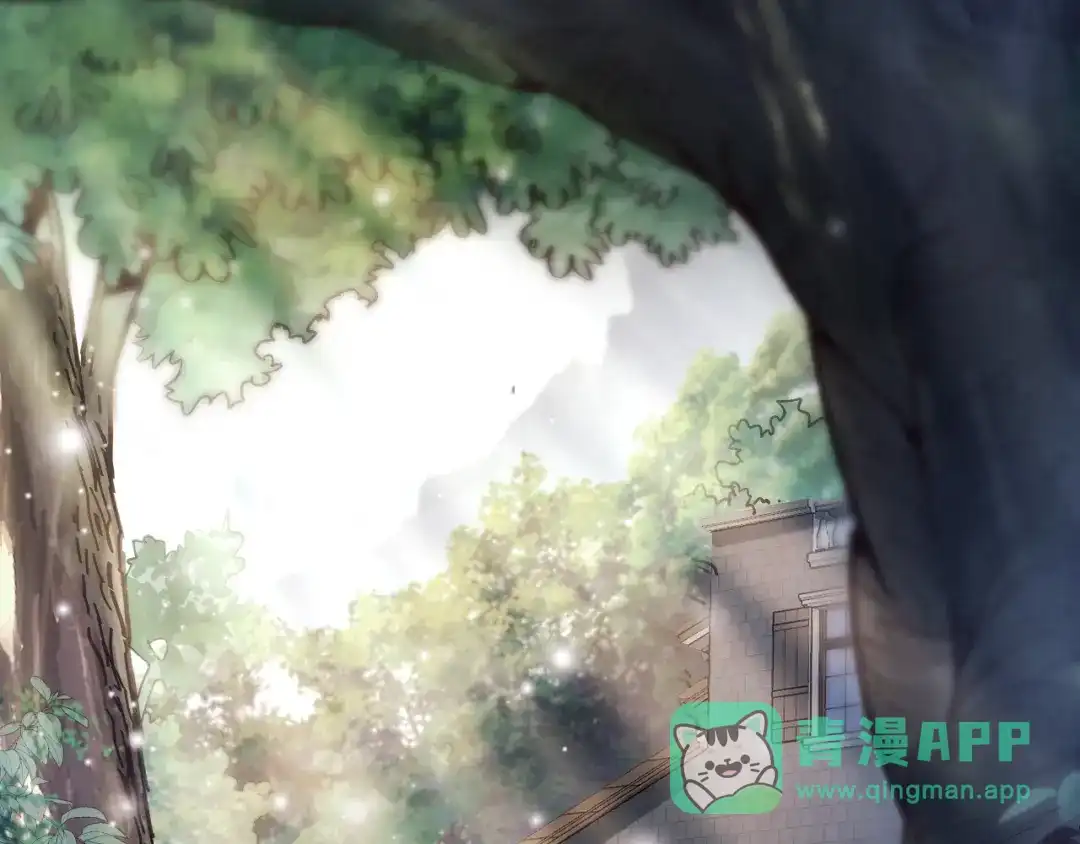 我用顶级系统重塑世界 - 世界碎片 - 第6张图