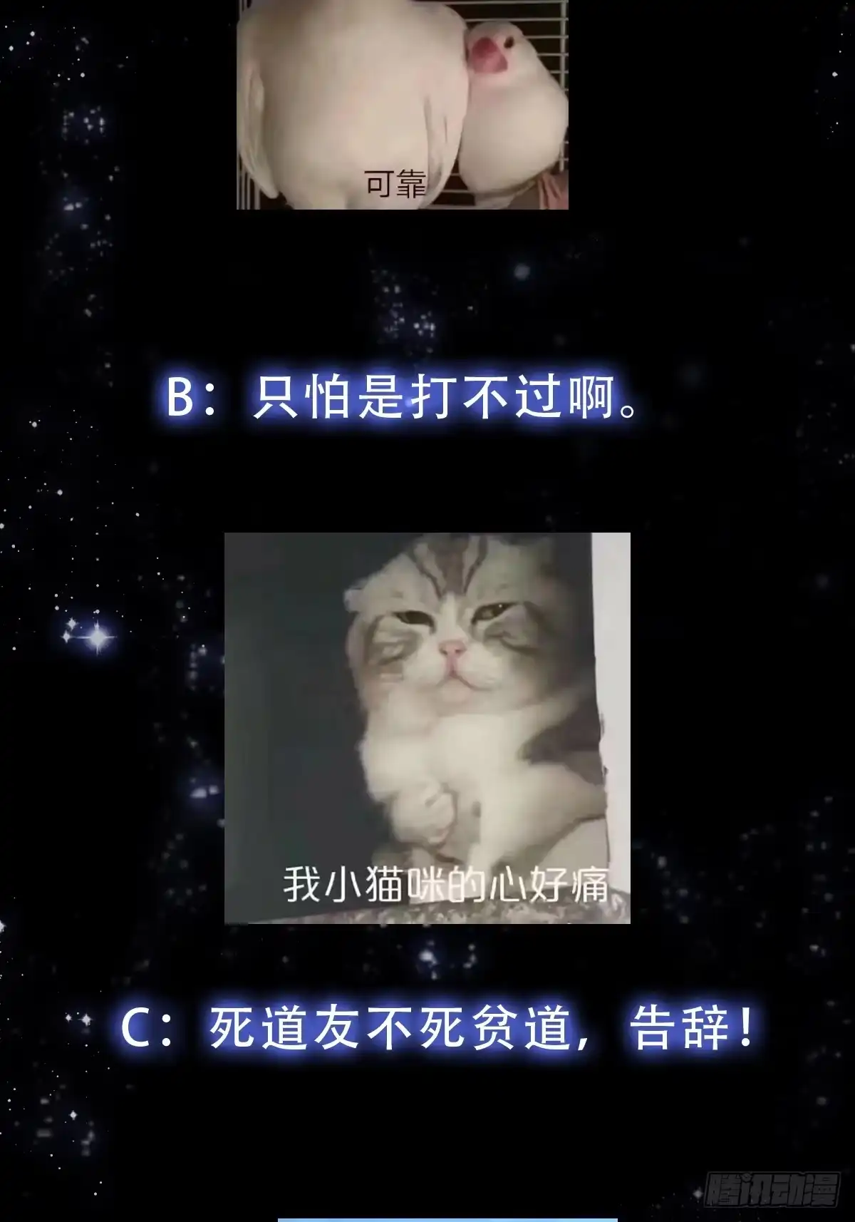 我用闲书成圣人 126 晶妖境开启！ 第43页