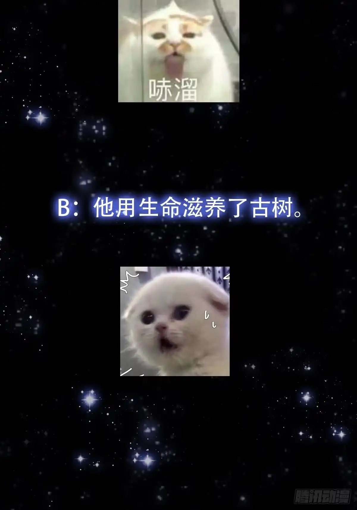 我用闲书成圣人 145 玉牌中的世界 第42页