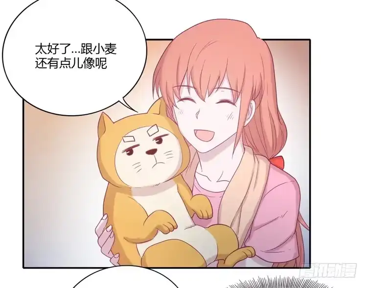 《我与秋田》风雨无阻的恋爱 第29页