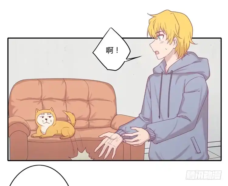 《我与秋田》风雨无阻的恋爱 第43页